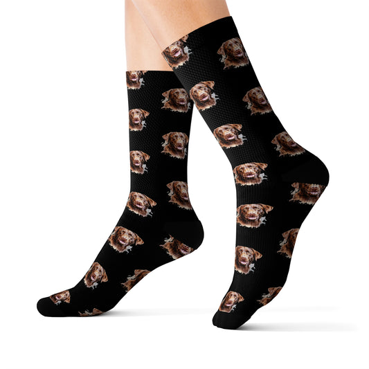Chocolate Labrador Retriever Socks