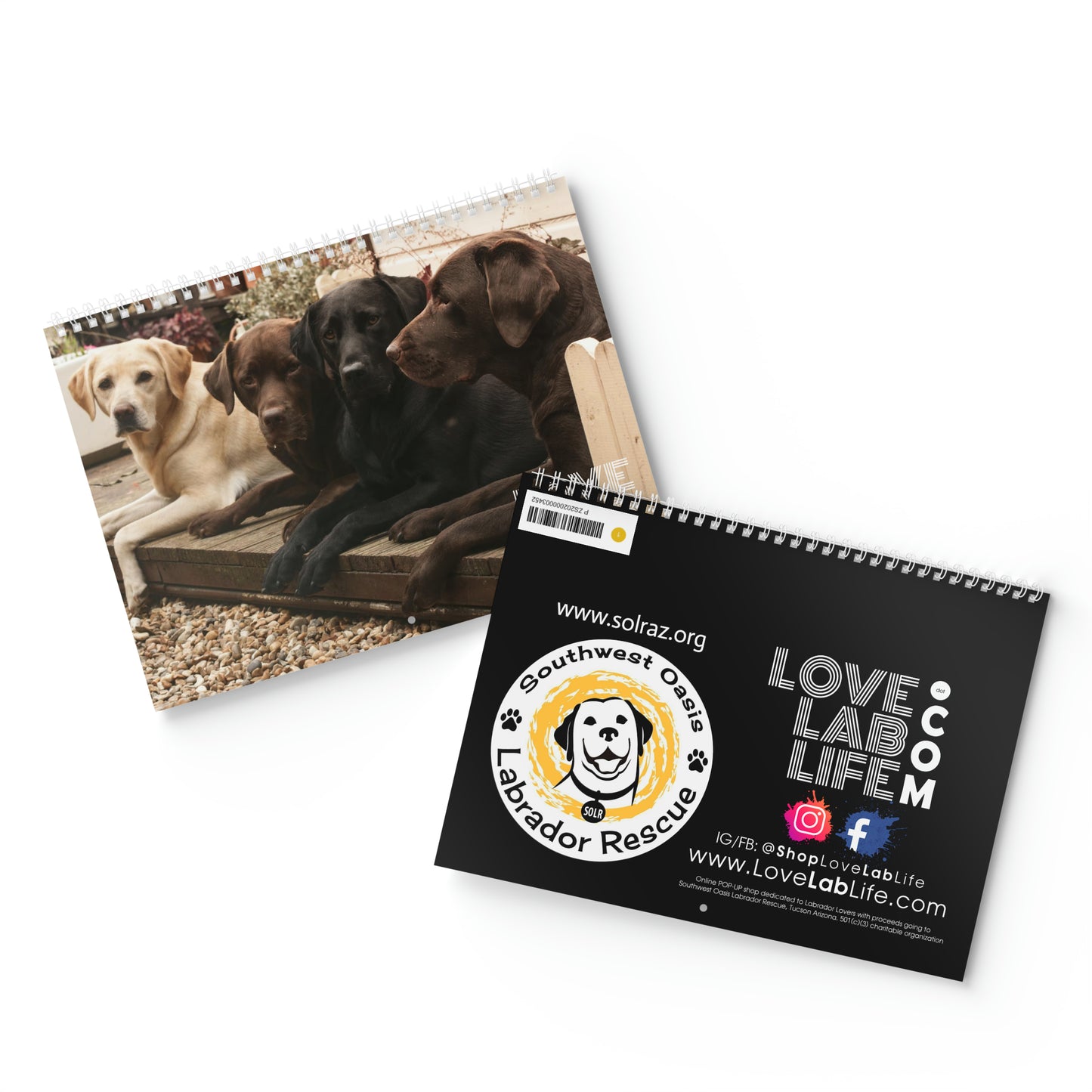 Love Lab Life 2024 Wall Calendar