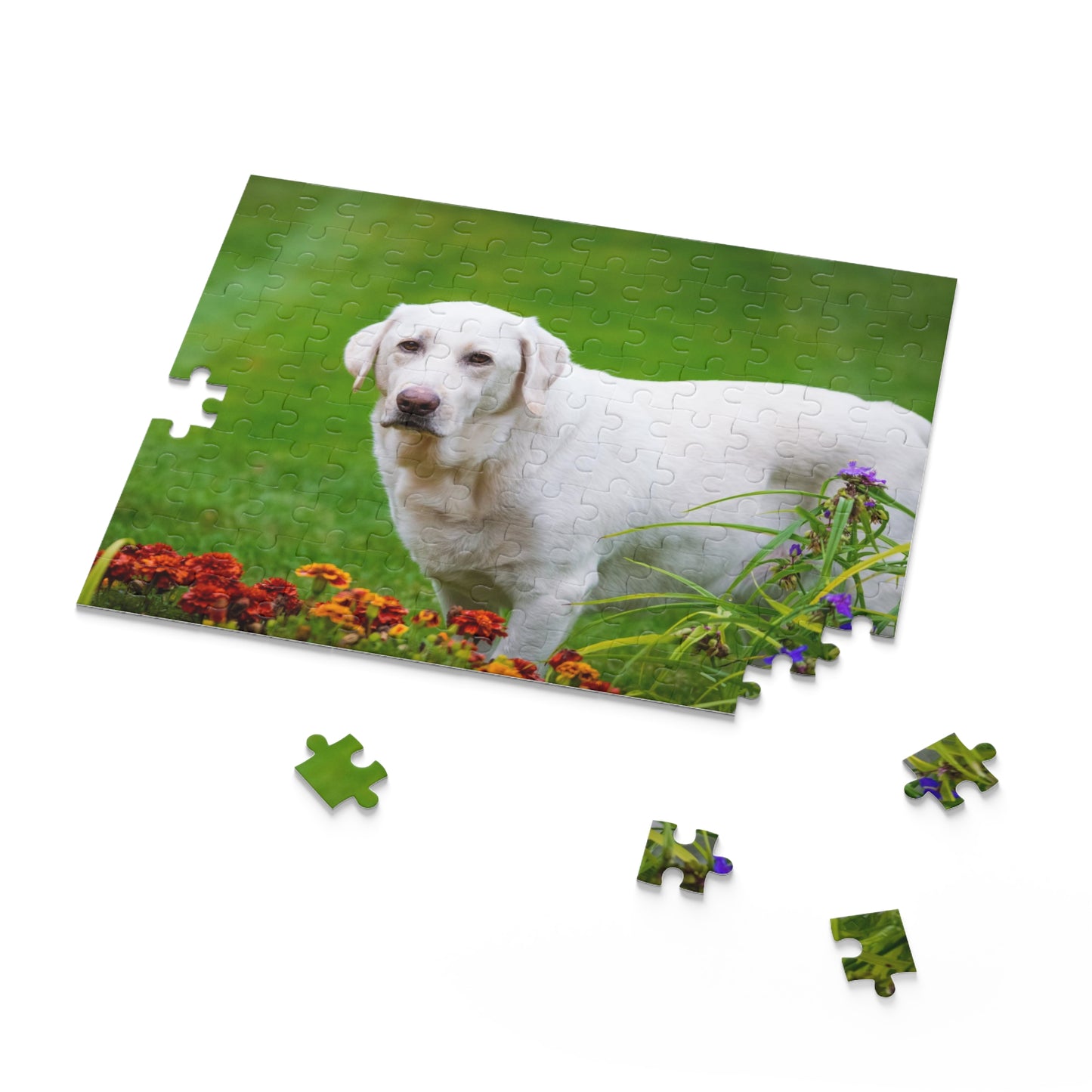 White Labrador Retriever Puzzle (120 or 500-Piece)