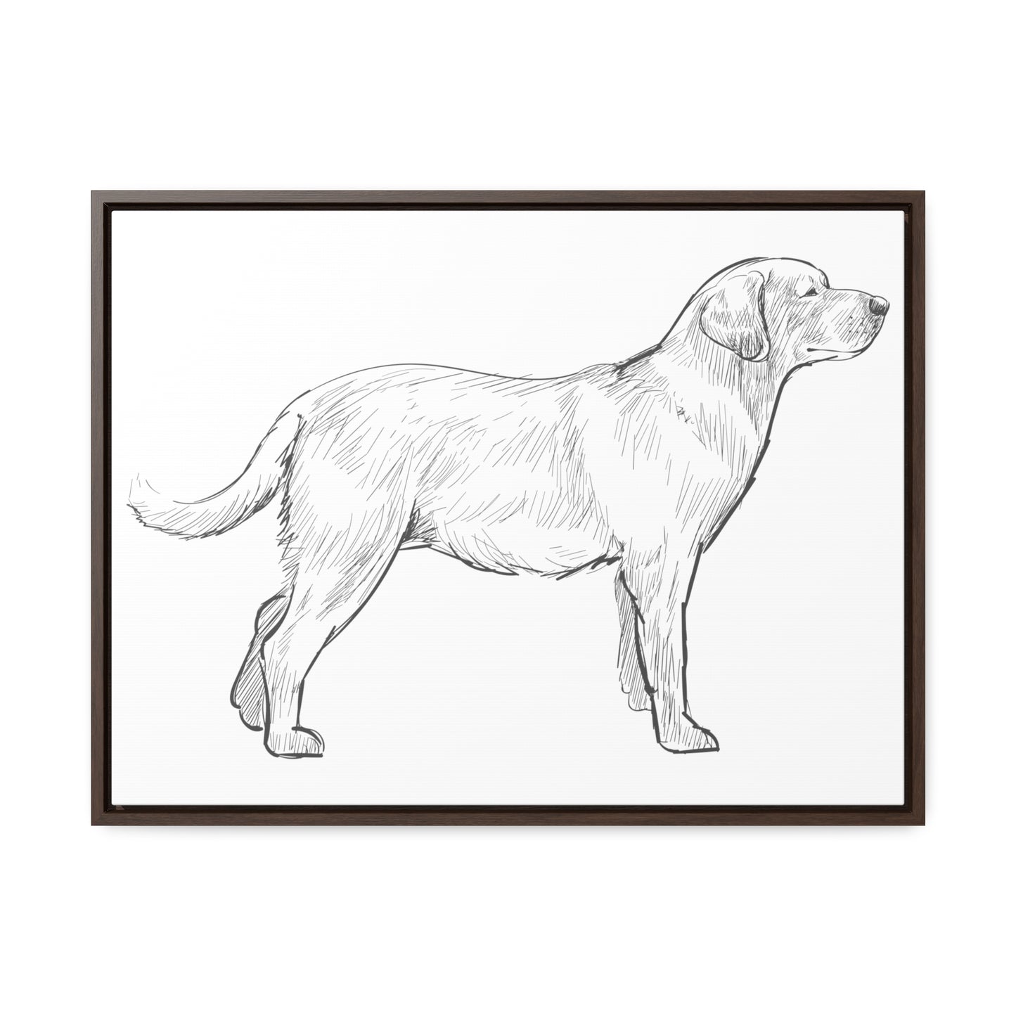 Simply Sketched Perfection - Hand-sketched Labrador Retriever Gallery Canvas with Wood Frame