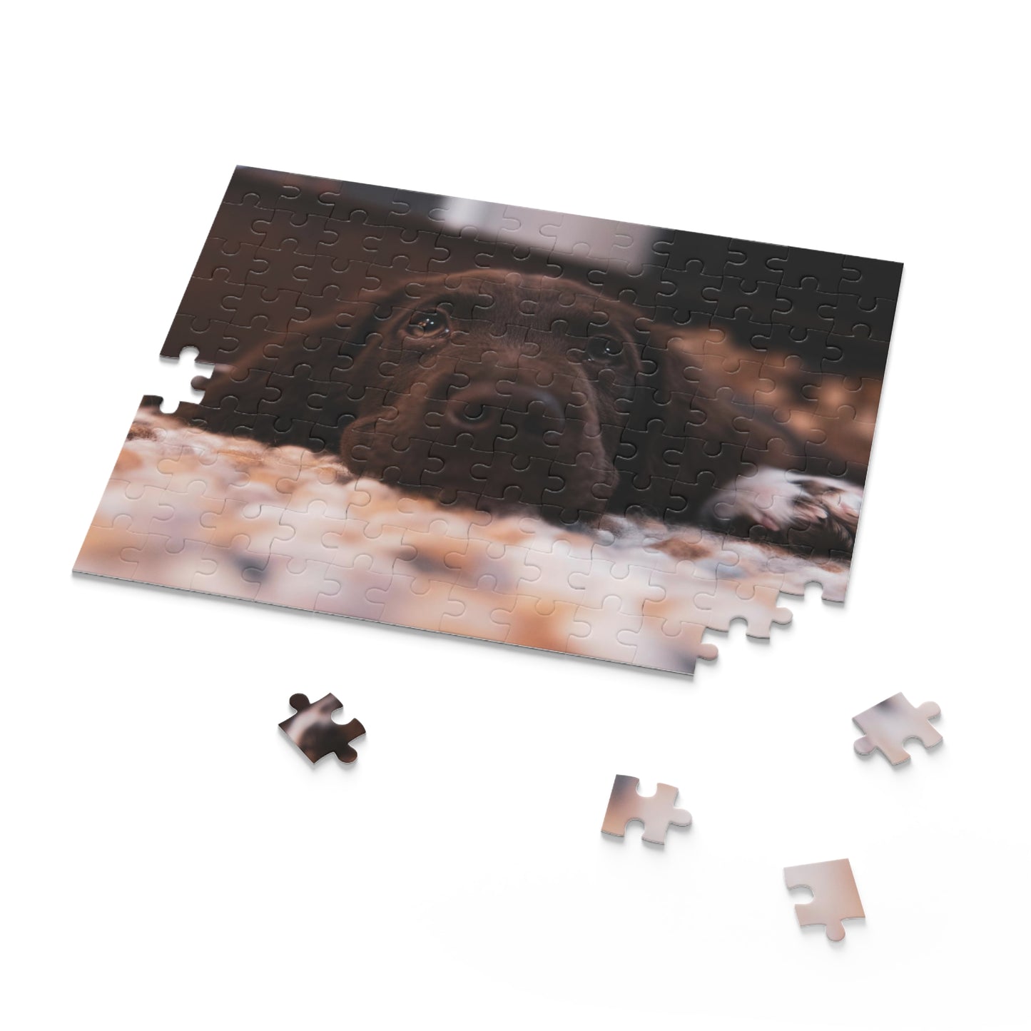 Chocolate Labrador Retriever Puzzle (120 or 500-Piece)