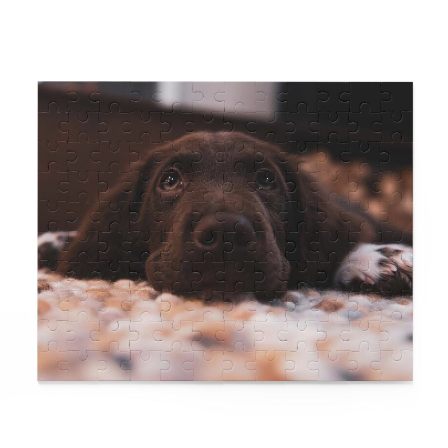 Chocolate Labrador Retriever Puzzle (120 or 500-Piece)