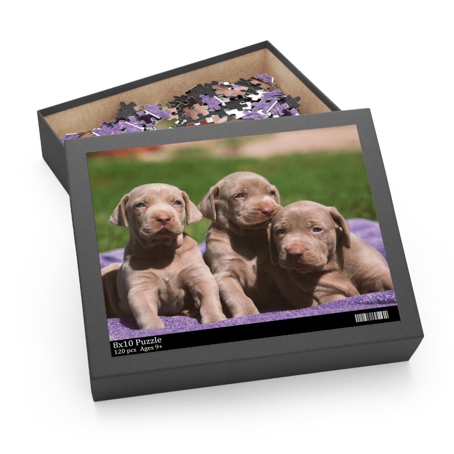 Silver Labrador Retriever Puzzle (120 or 500-Piece)