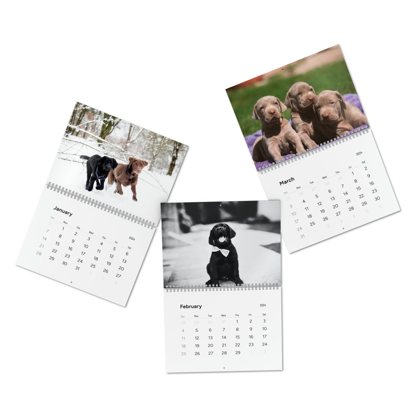 Love Lab Life 2024 Wall Calendar