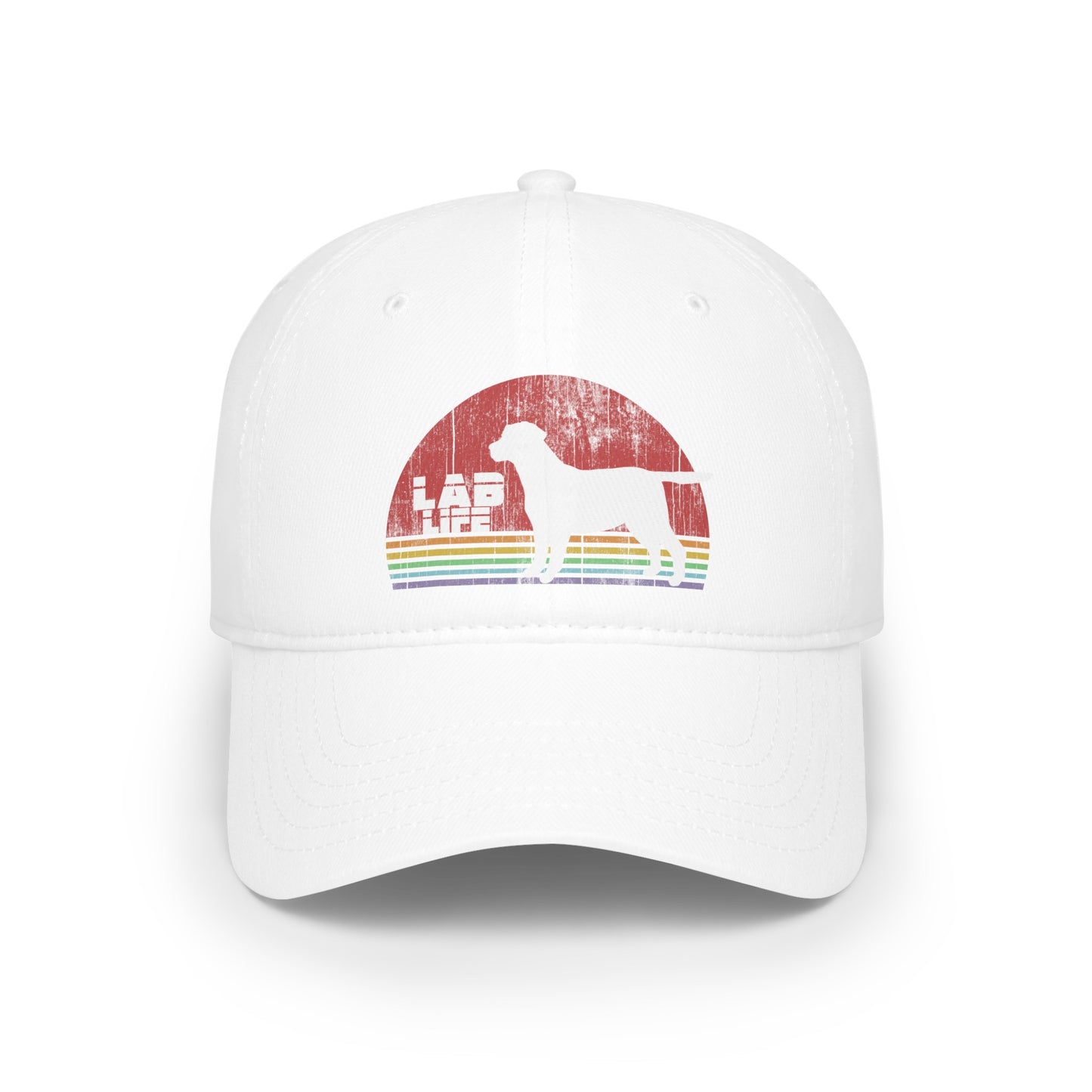 Lab Life Retro Low Profile Baseball Cap