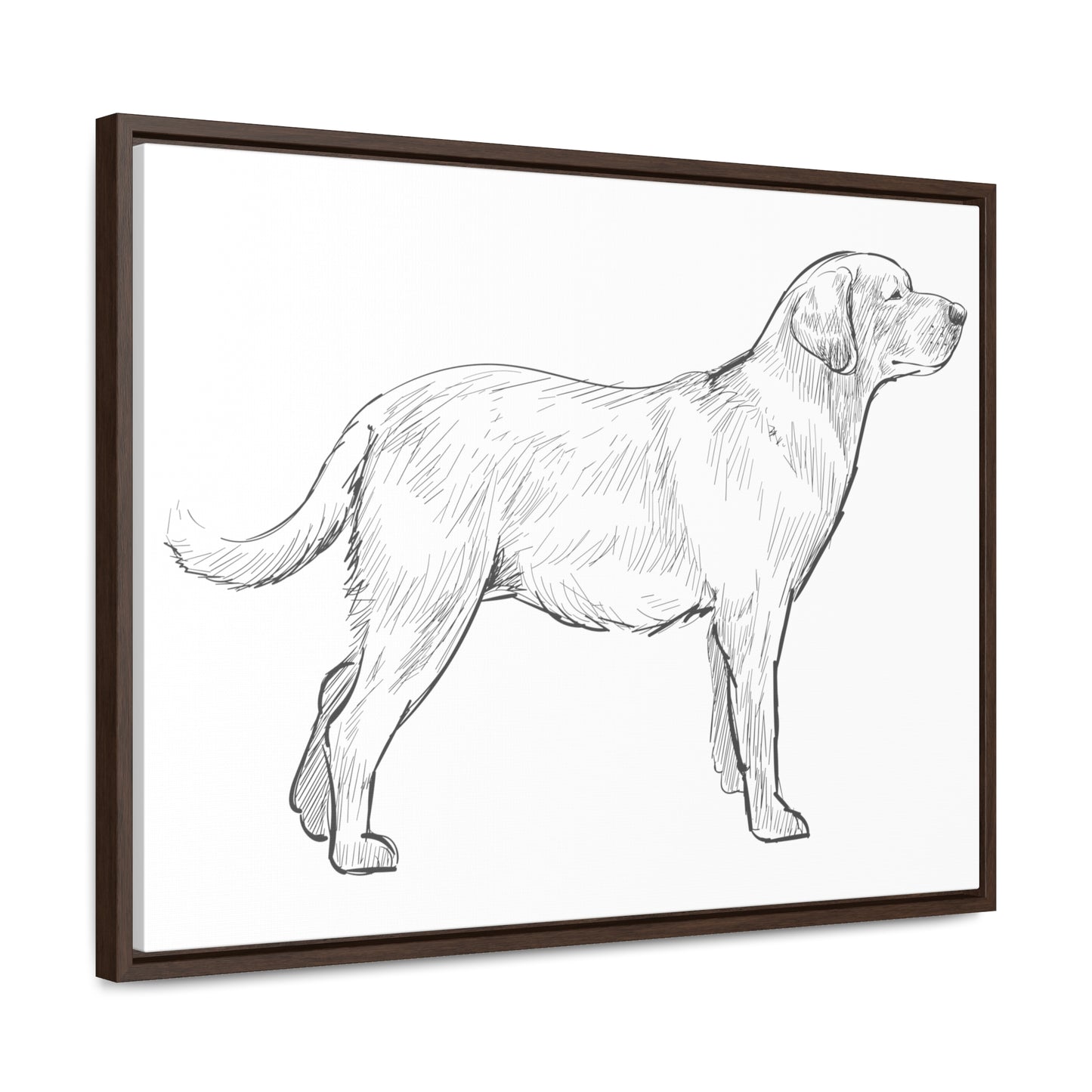 Simply Sketched Perfection - Hand-sketched Labrador Retriever Gallery Canvas with Wood Frame