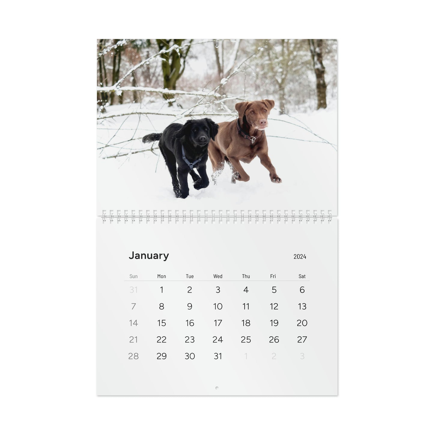 Love Lab Life 2024 Wall Calendar