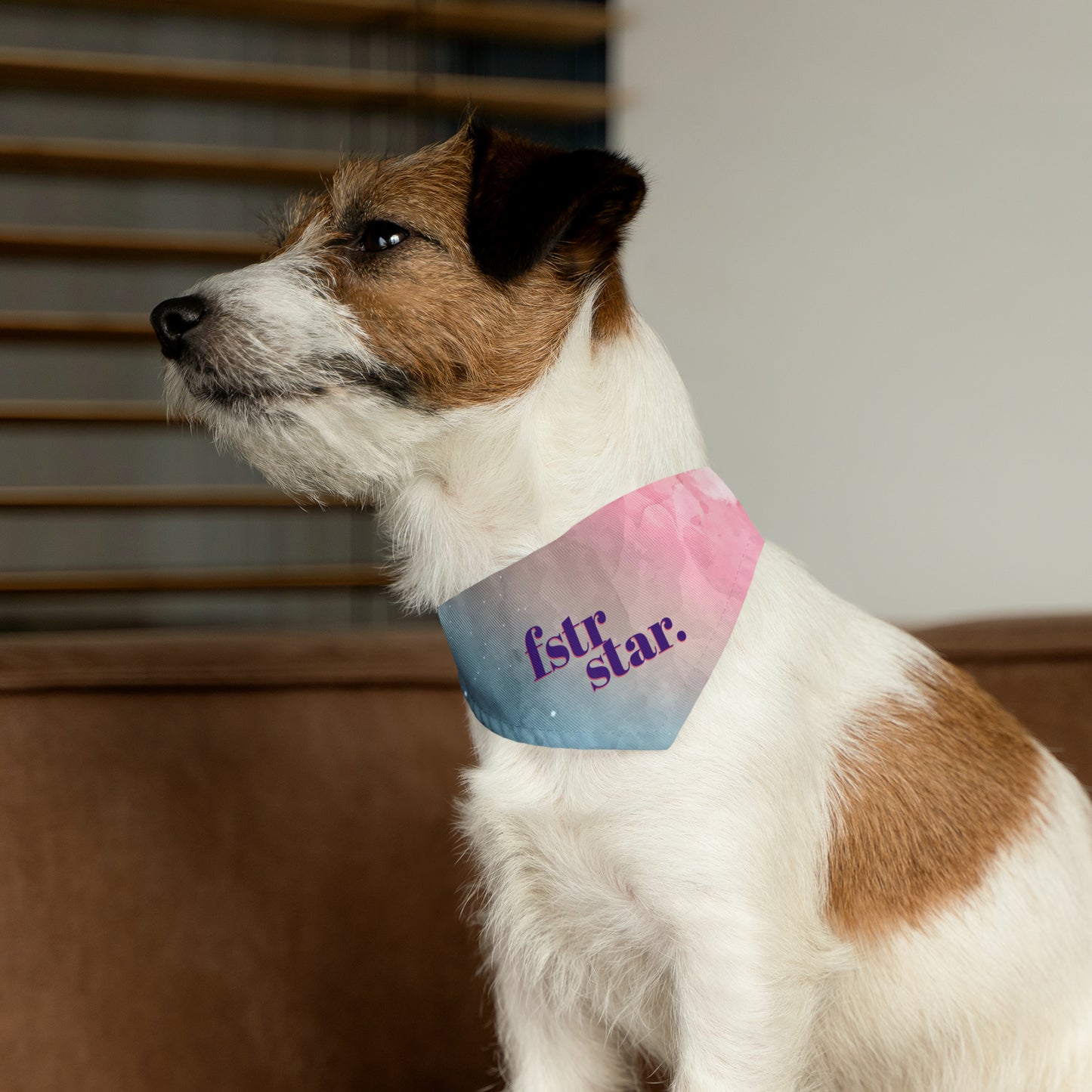 Foster Star Watercolor Pet Bandana Collar