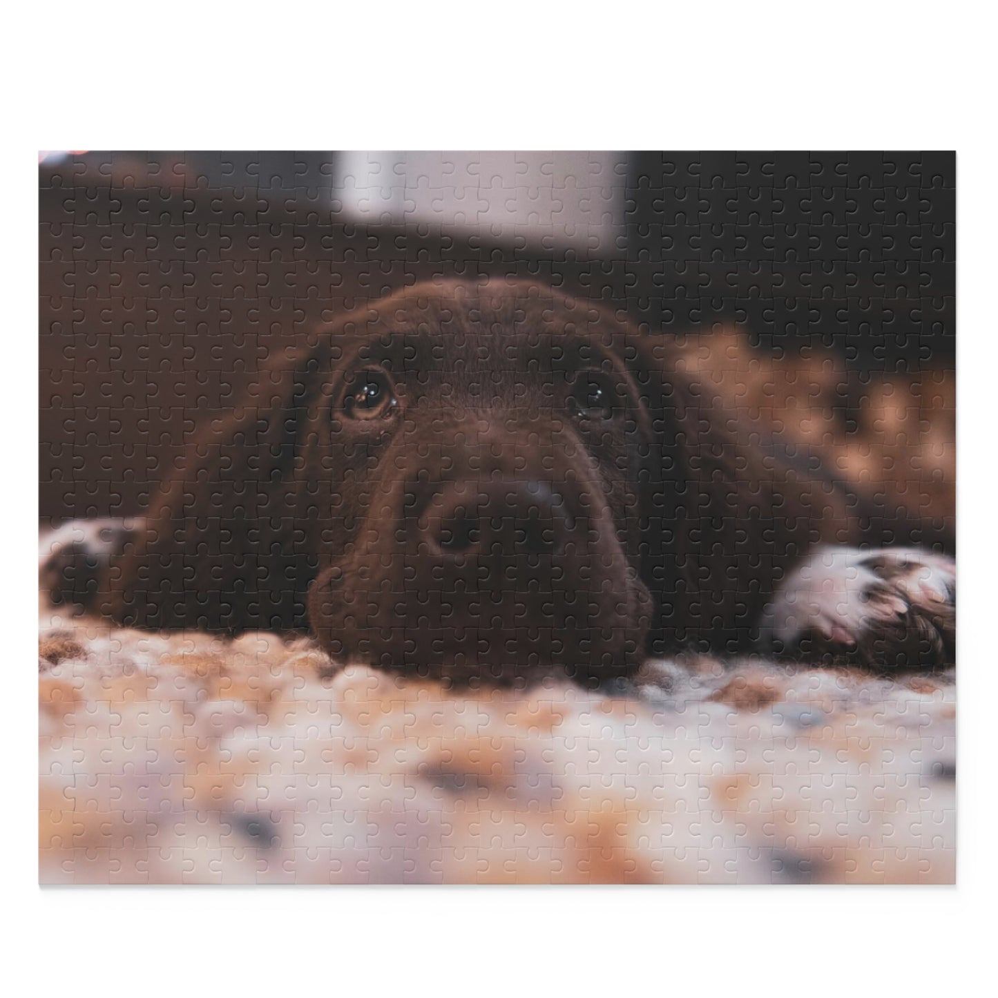 Chocolate Labrador Retriever Puzzle (120 or 500-Piece)