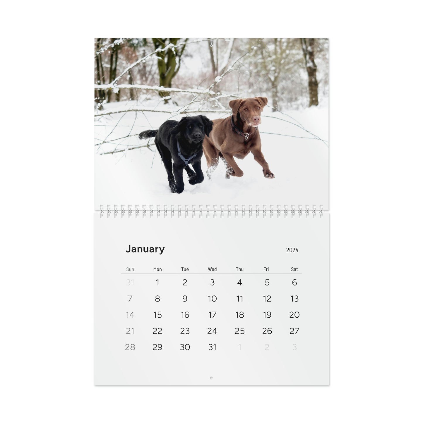 Love Lab Life 2024 Wall Calendar