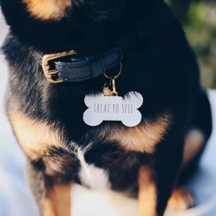 Treat Yo Self Pet ID Tag - White