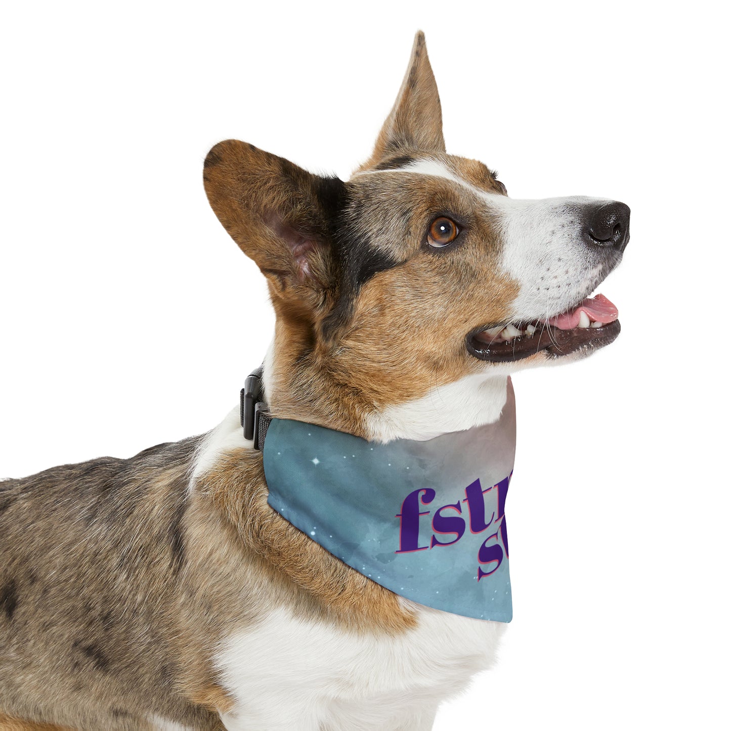 Foster Star Watercolor Pet Bandana Collar