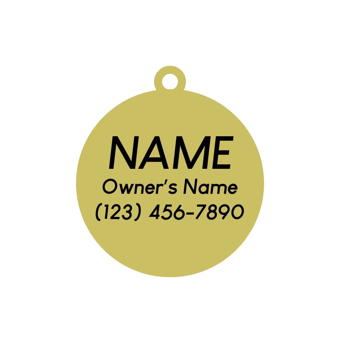 Dino-Mite Pet ID Tag