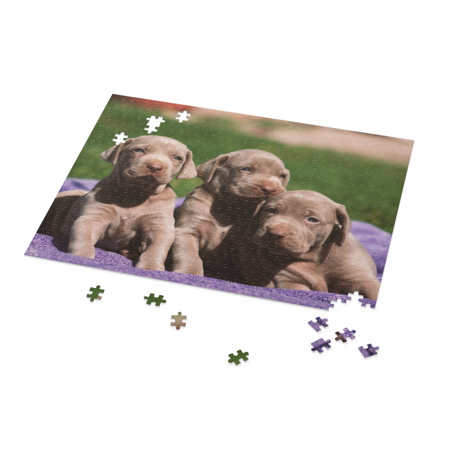 Silver Labrador Retriever Puzzle (120 or 500-Piece)