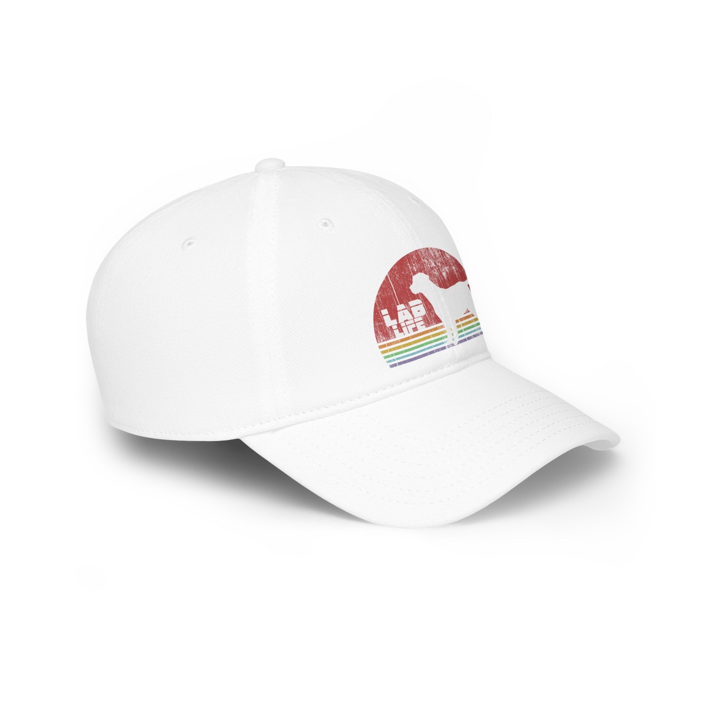 Lab Life Retro Low Profile Baseball Cap