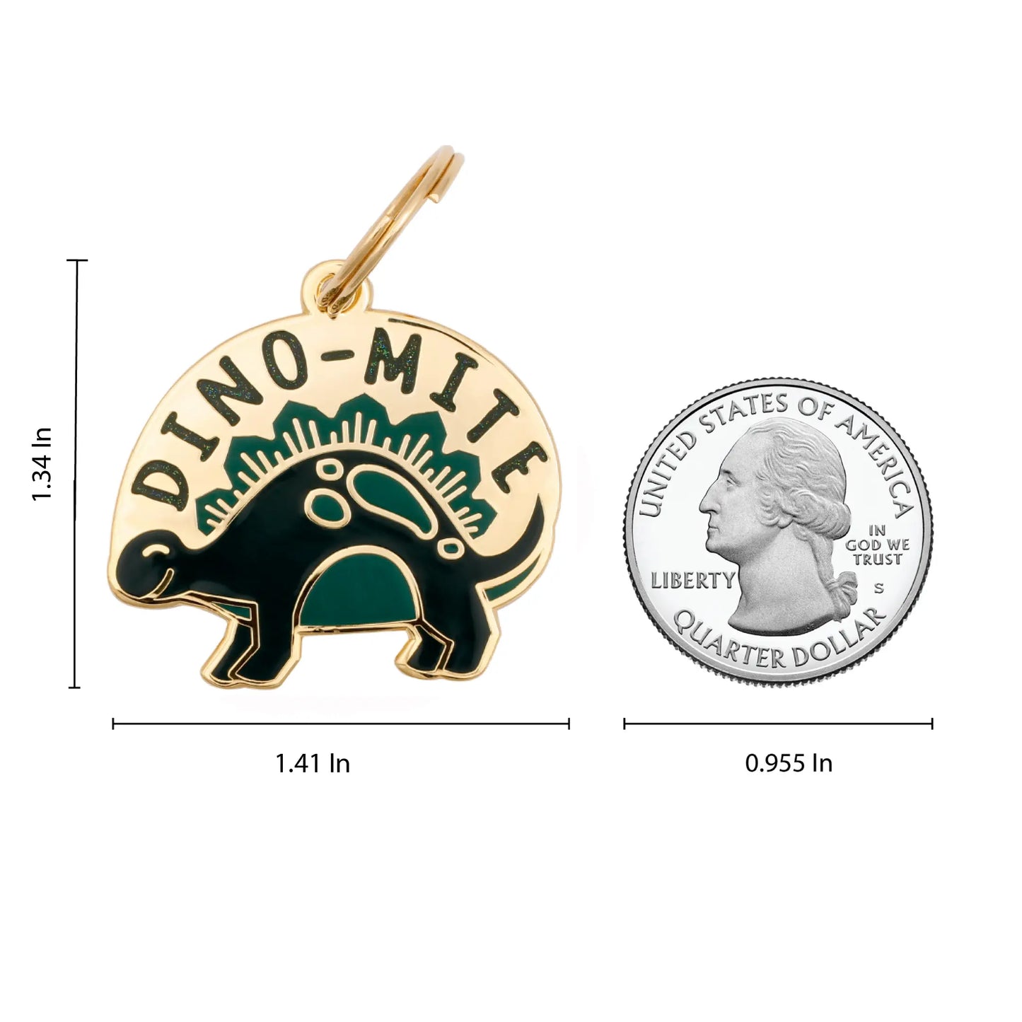 Dino-Mite Pet ID Tag