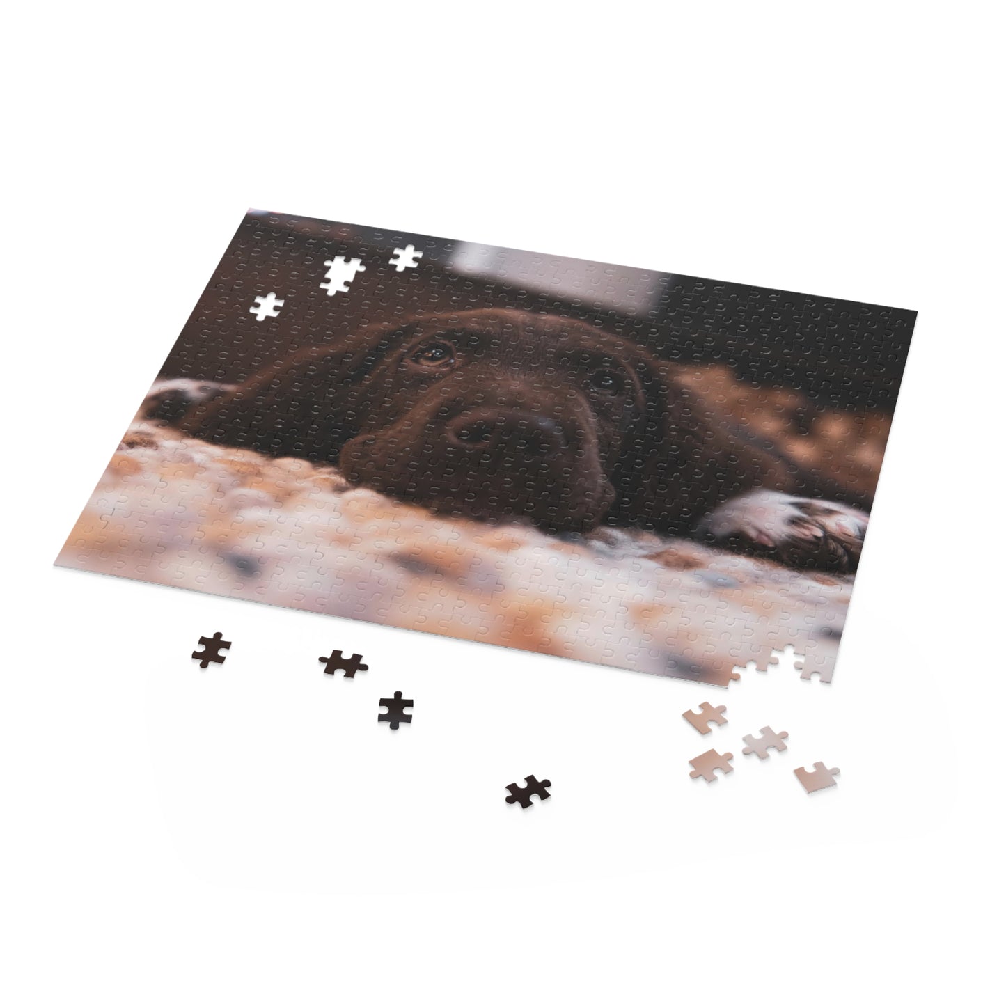 Chocolate Labrador Retriever Puzzle (120 or 500-Piece)