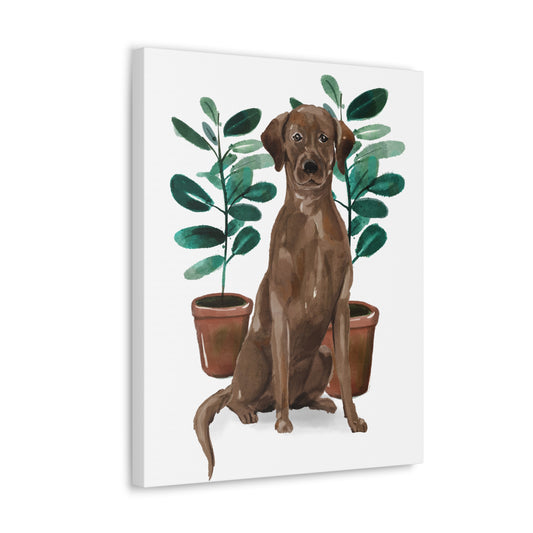 Chocolate Labrador Watercolor Canvas Gallery Wraps