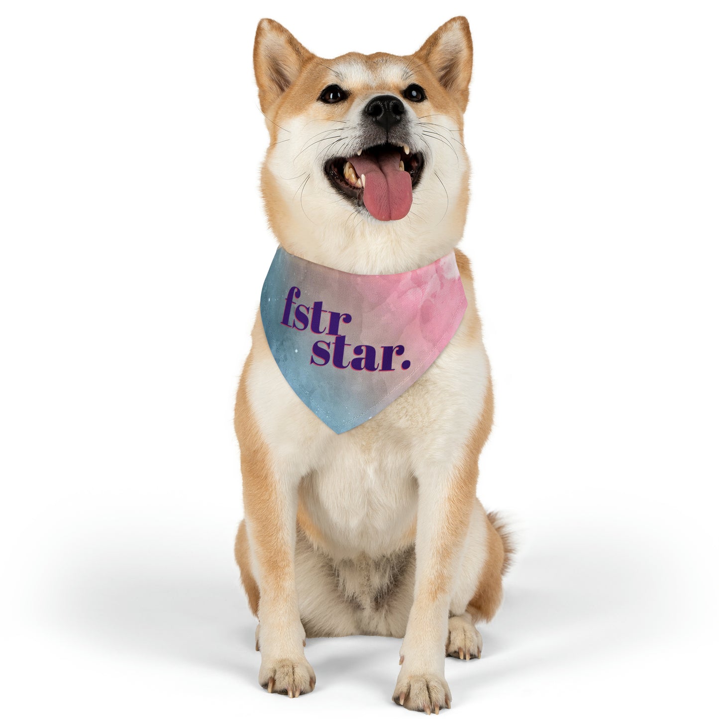 Foster Star Watercolor Pet Bandana Collar