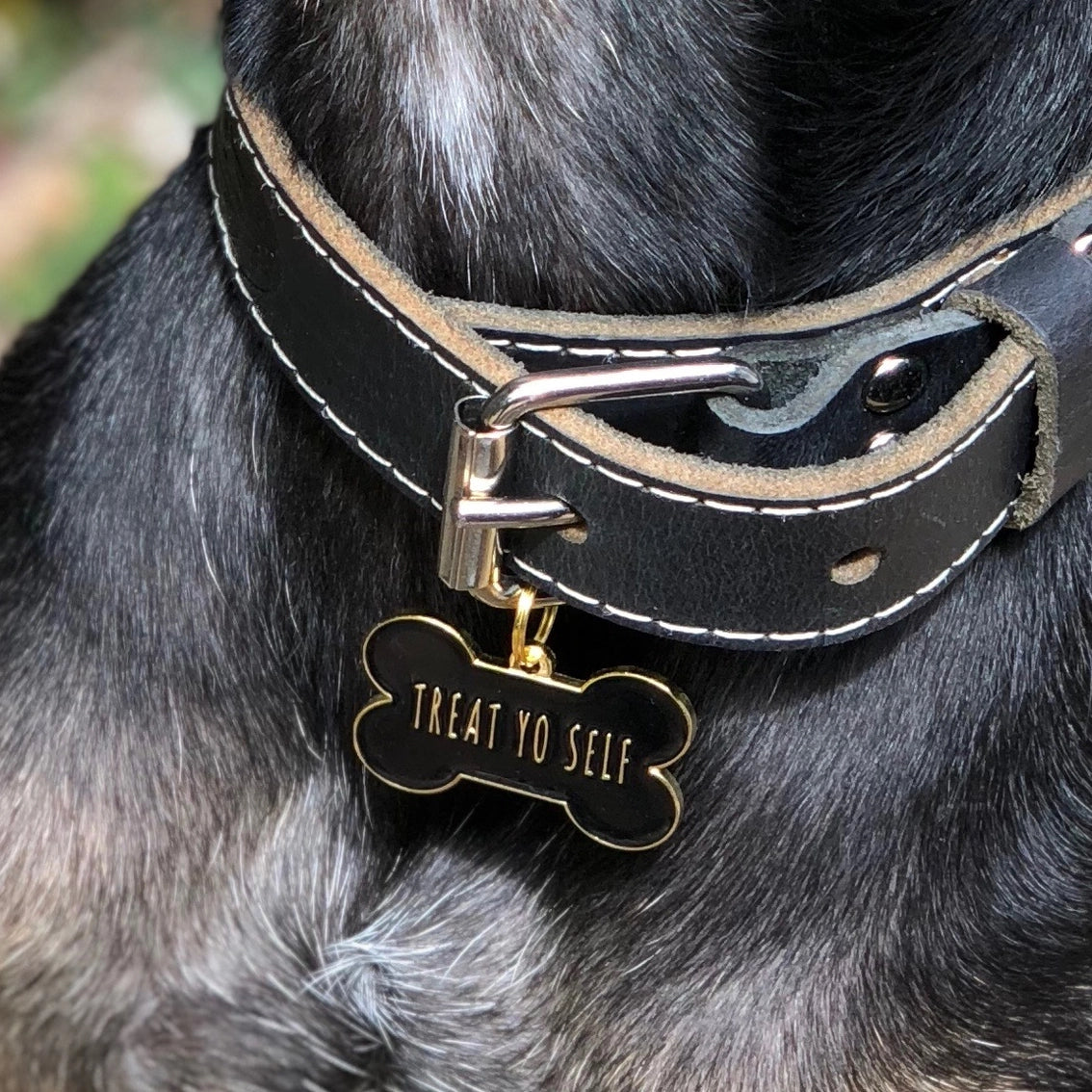 Treat Yo Self Pet ID Tag - Black