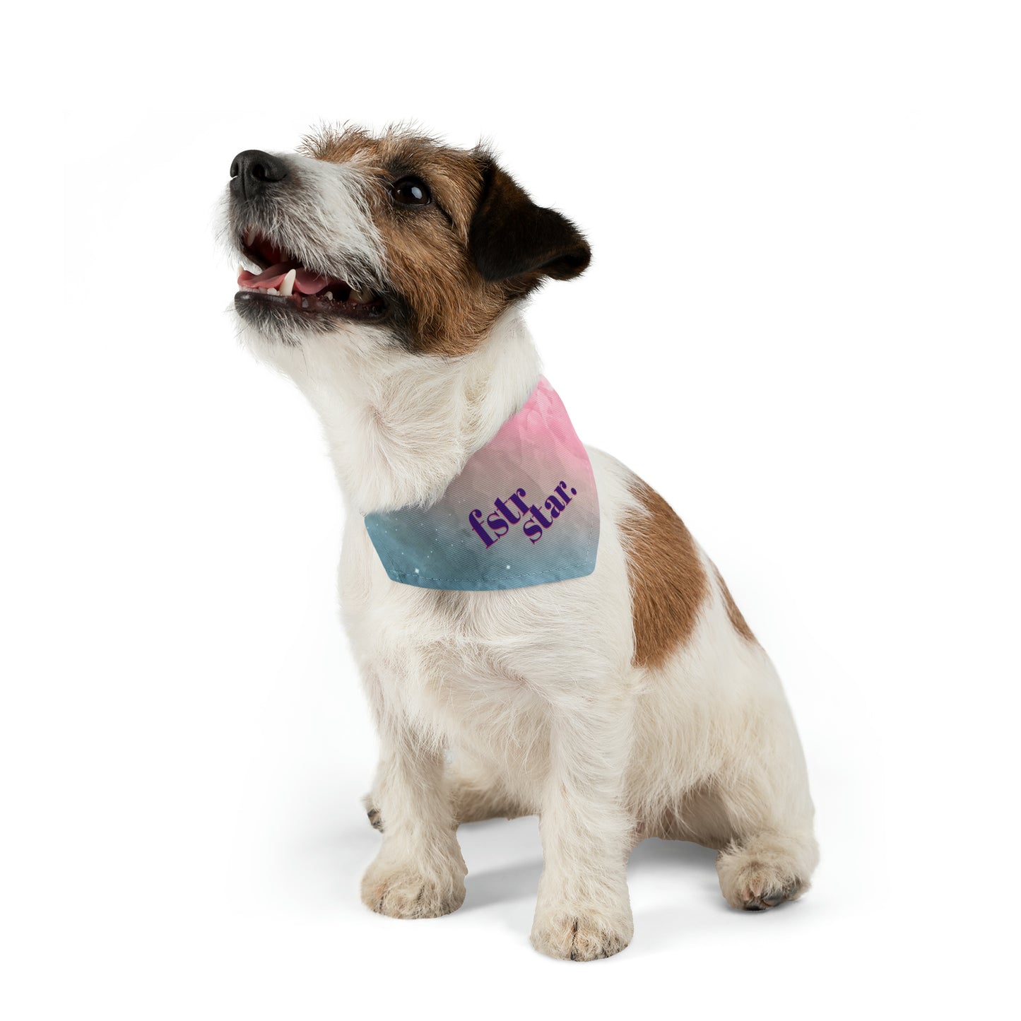 Foster Star Watercolor Pet Bandana Collar