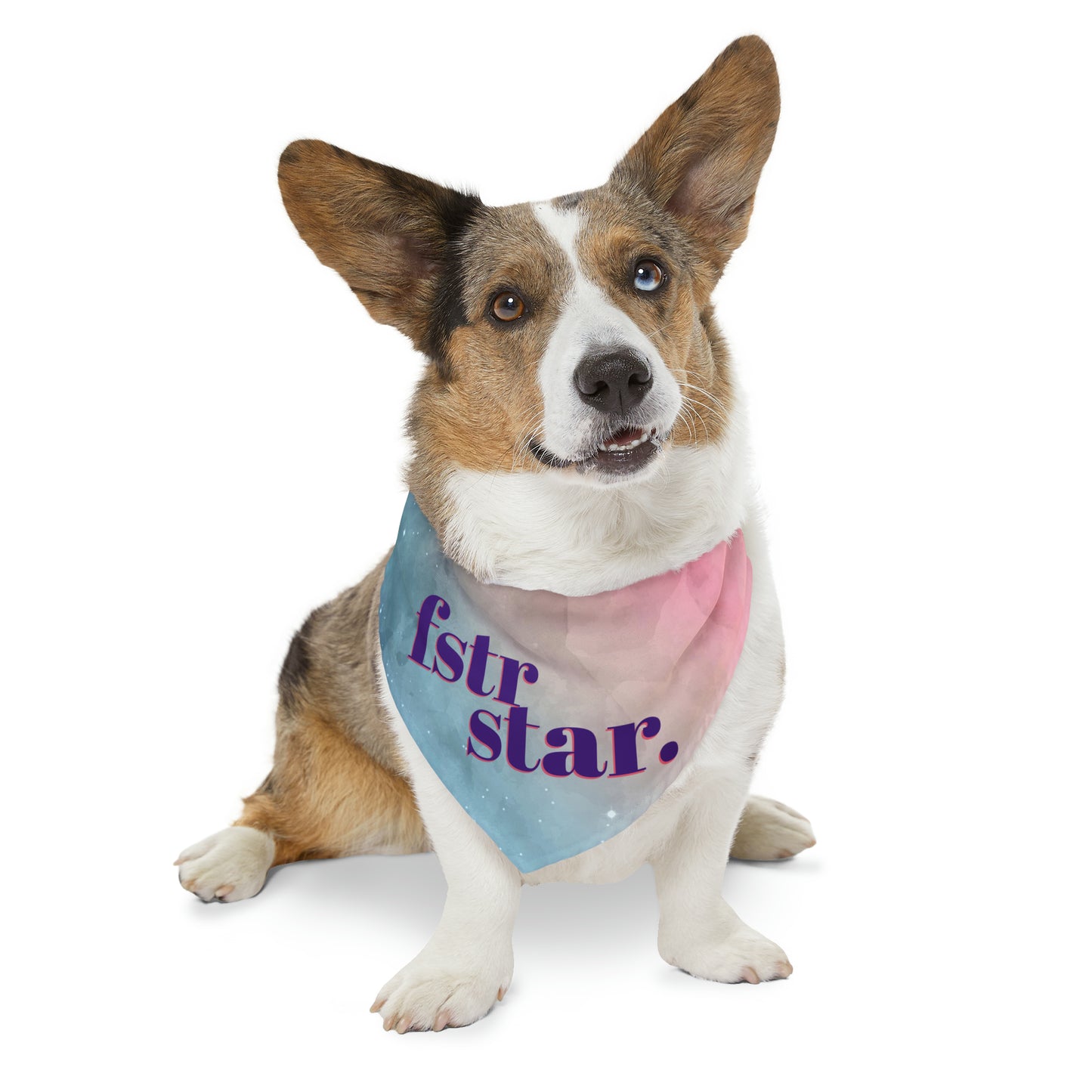 Foster Star Watercolor Pet Bandana Collar