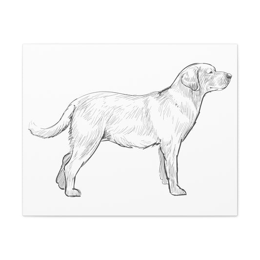 Simply Sketched Perfection - Exclusive Labrador Retriever Canvas Gallery Wraps