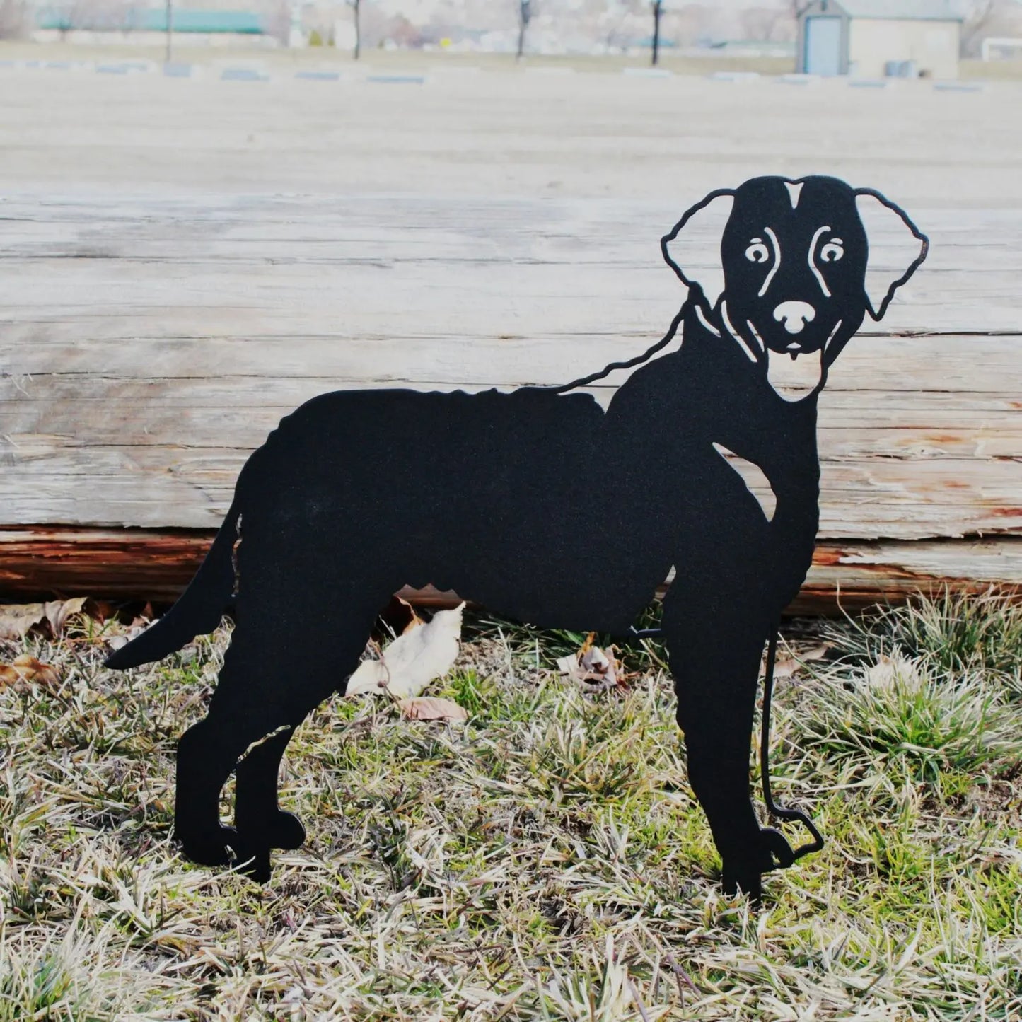 Chesapeake Bay Retriever Corten Steel Outdoor Silhouette