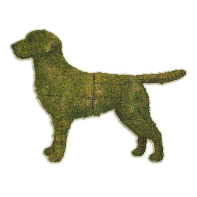 Labrador Retriever Mossed Topiary