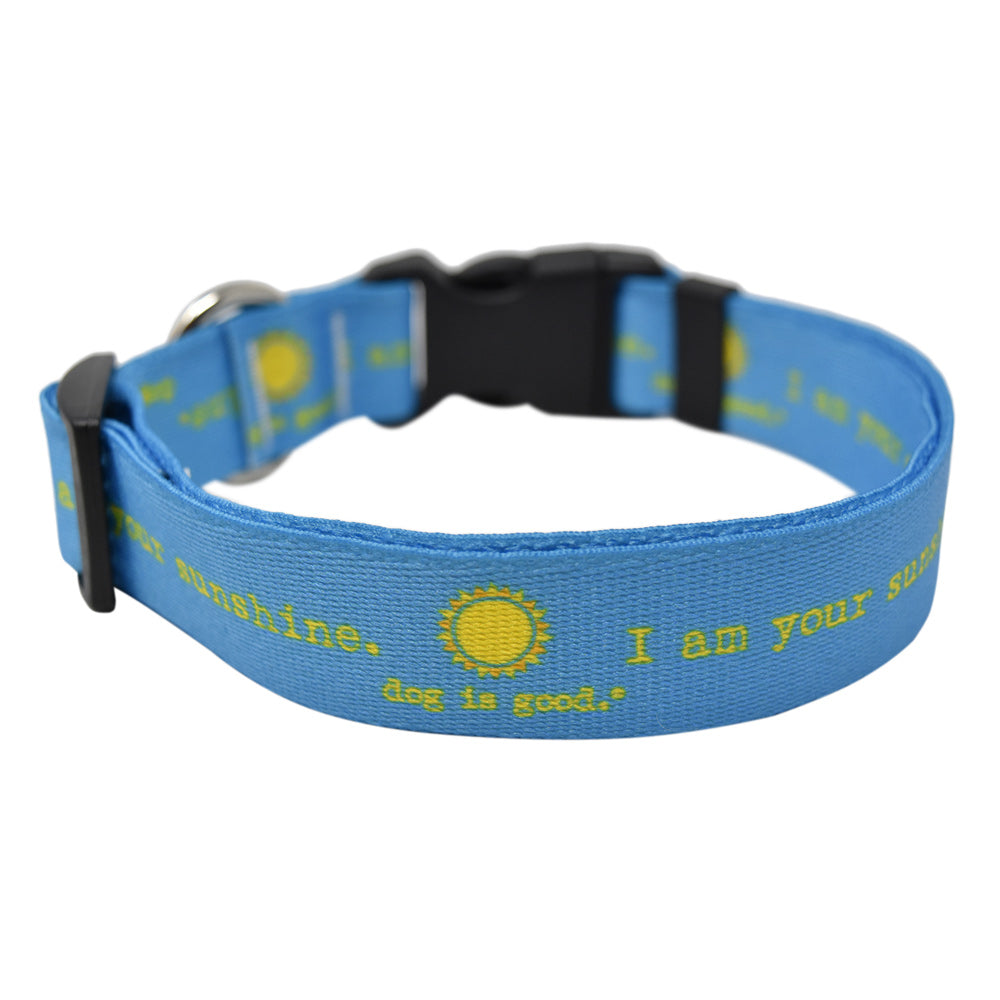 I Am Your Sunshine Dog Collar and Leash