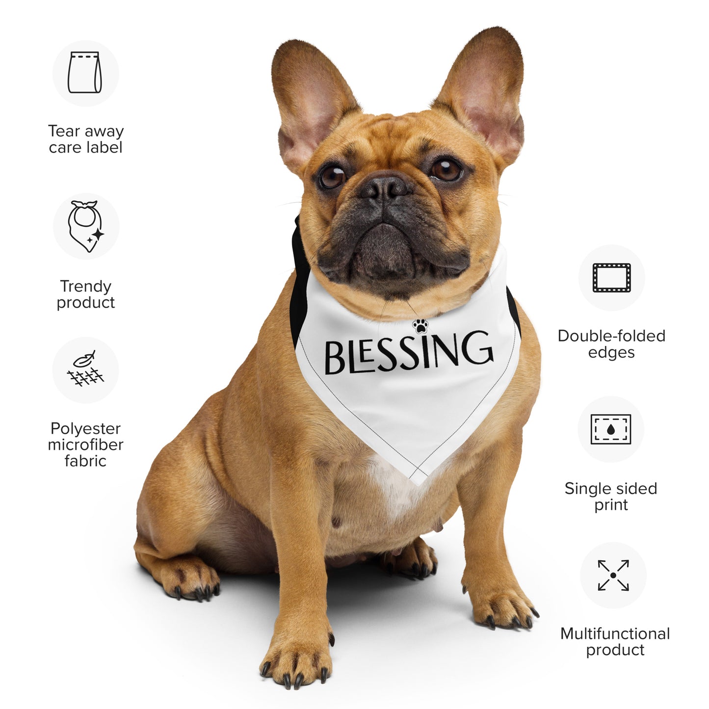 Blessing with Paw Pet Bandana - Black