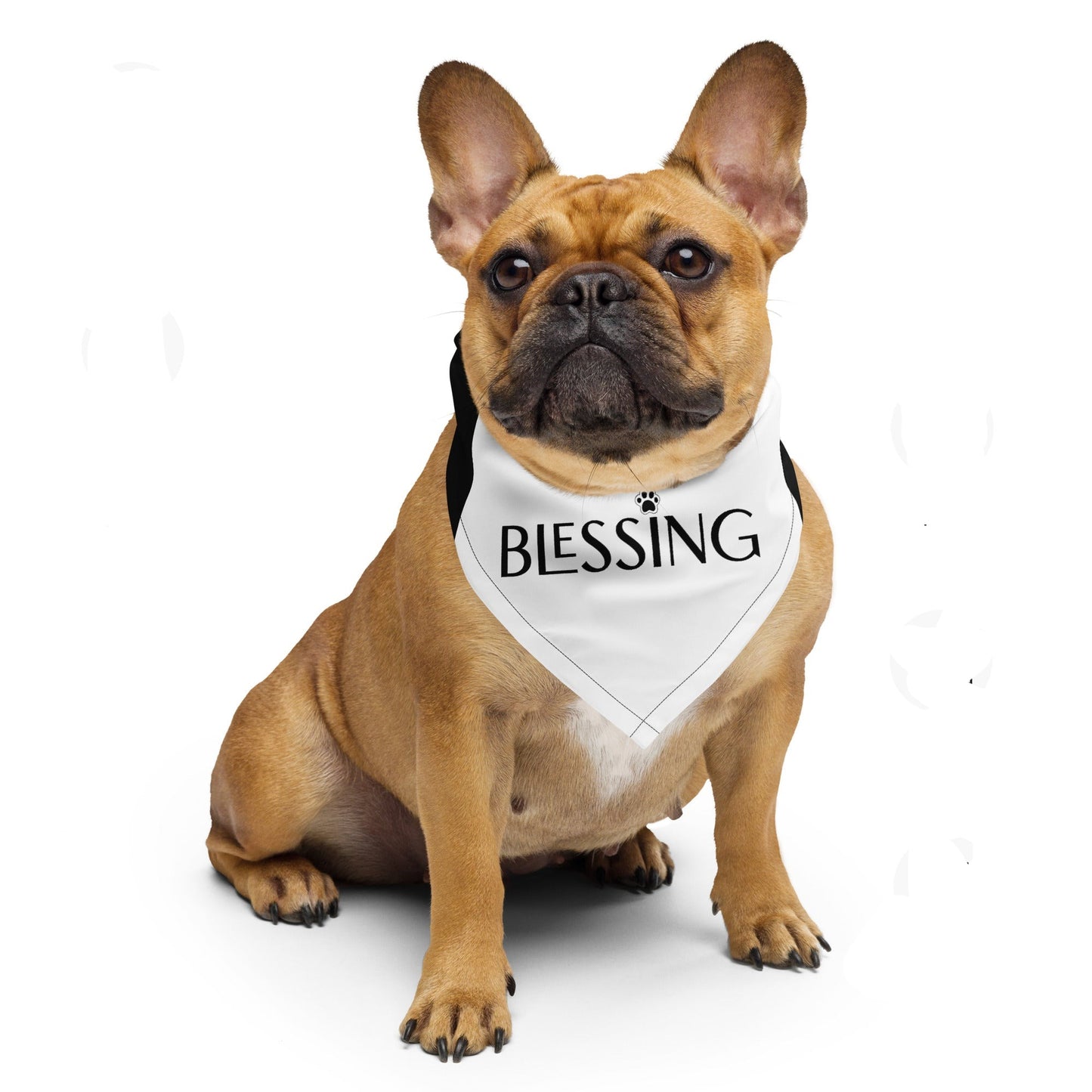 Blessing with Paw Pet Bandana - Black