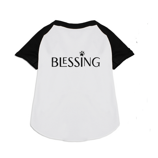 Blessing with Paw Pet Raglan T-Shirt