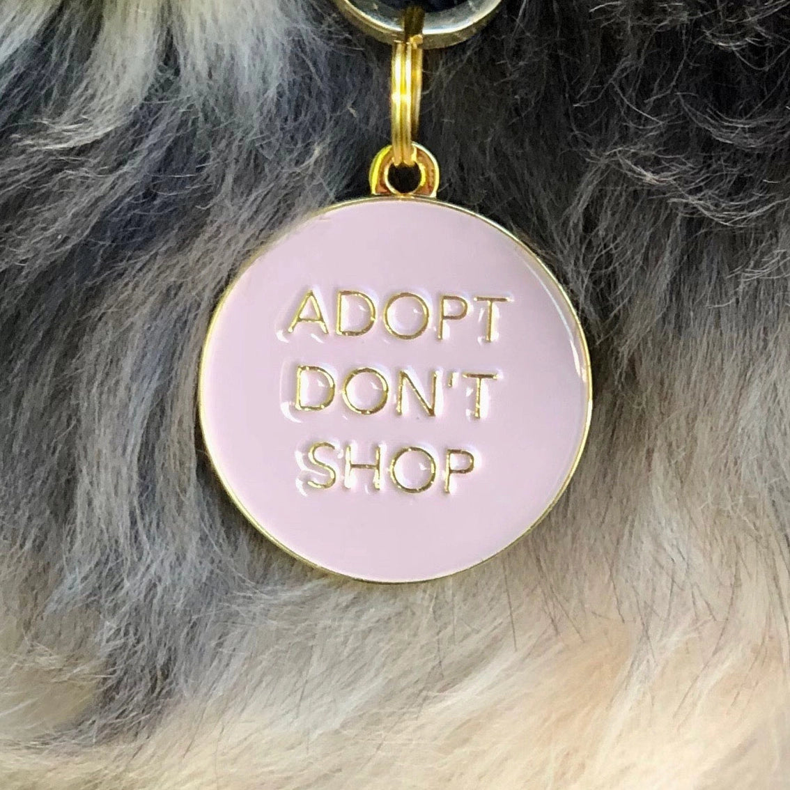 Adopt Don't Shop Pet ID Tag - Pink