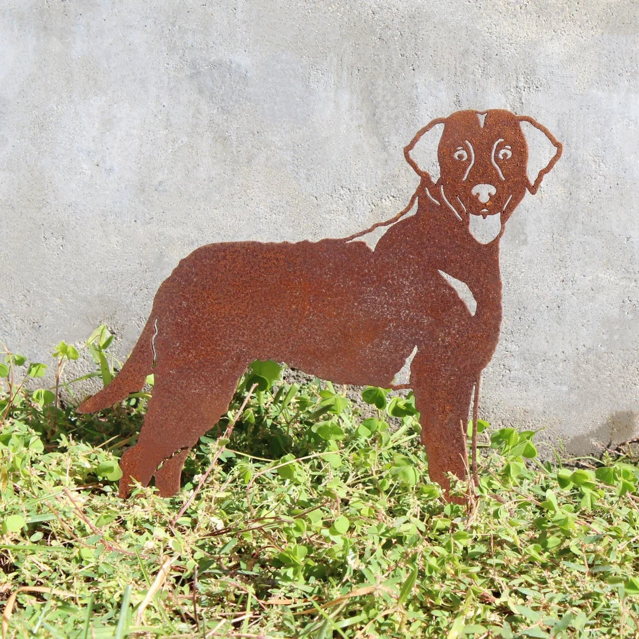 Chesapeake Bay Retriever Corten Steel Outdoor Silhouette