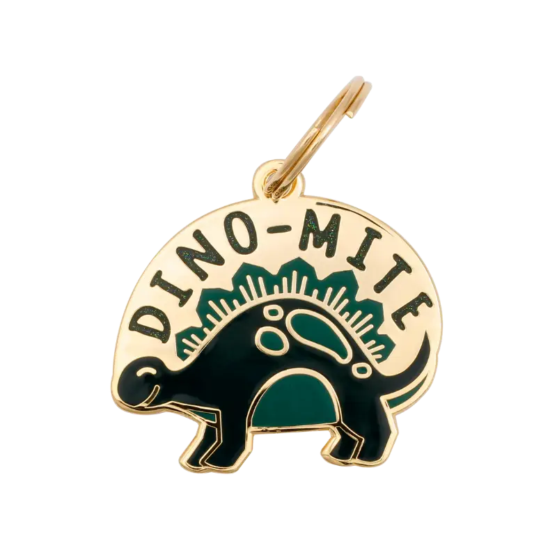 Dino-Mite Pet ID Tag