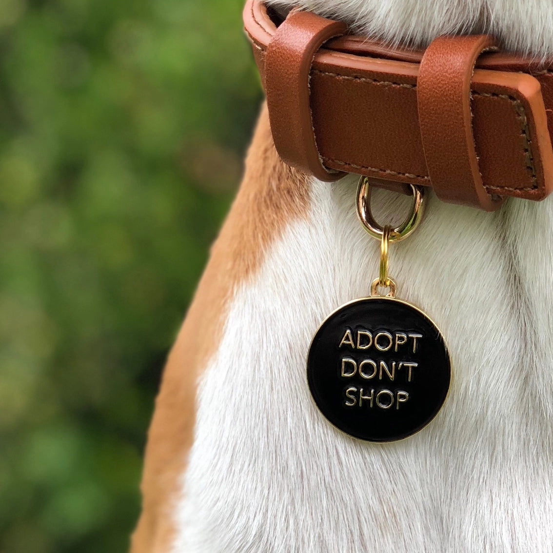 Adopt Don't Shop Pet ID Tag - Black