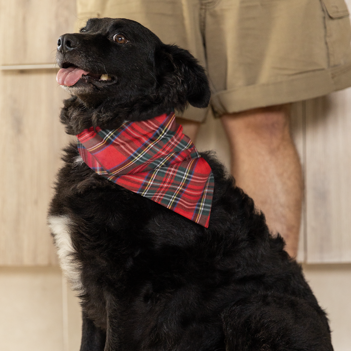 Red Plaid III Bandana