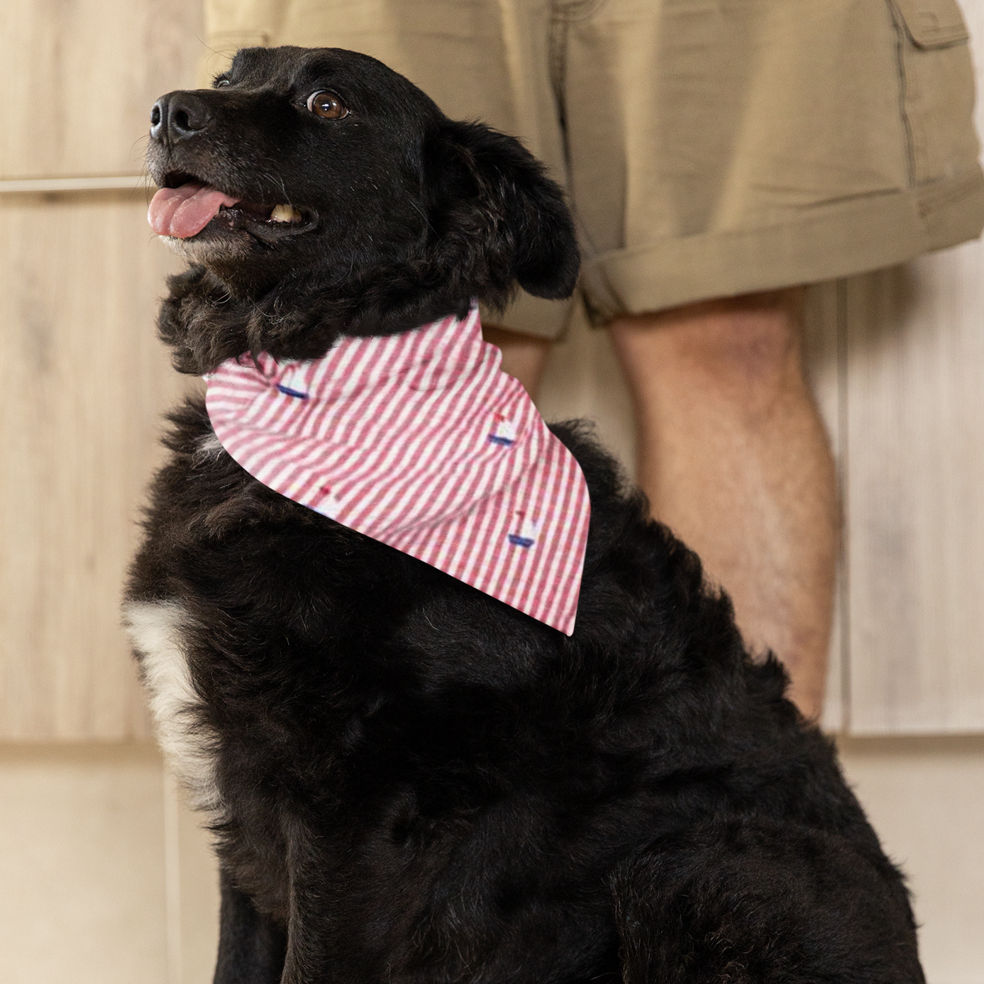 Red Stripe Sailboat Bandana