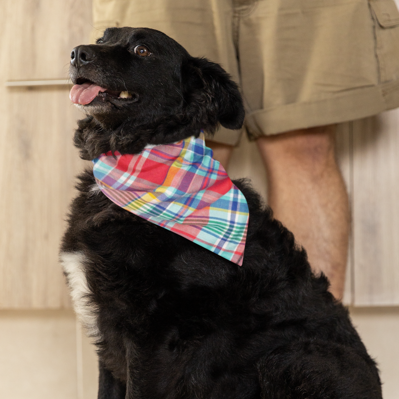 Coral Multi Plaid Bandana