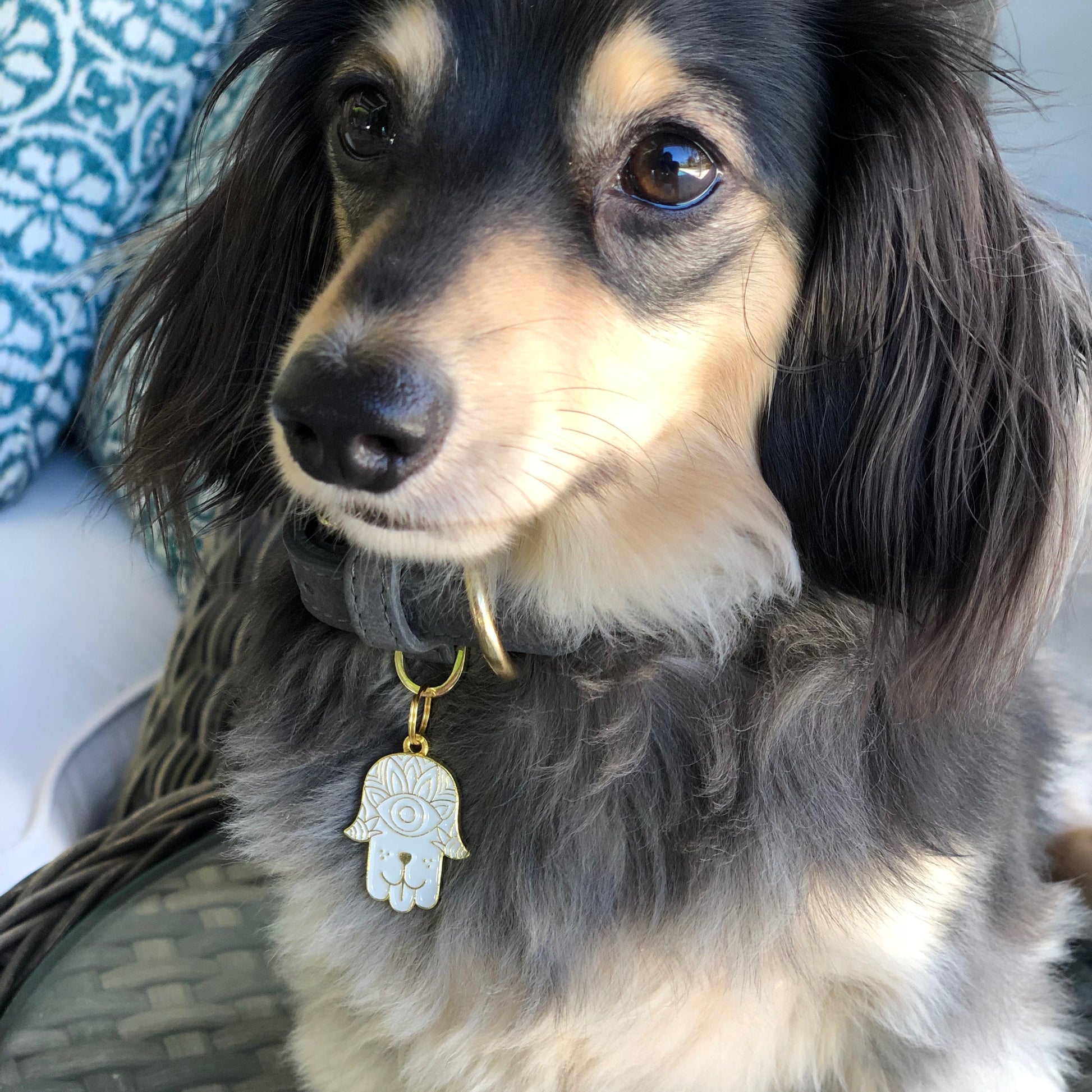 Hamsa White Pet ID Tag - Gold - 3 Red Rovers