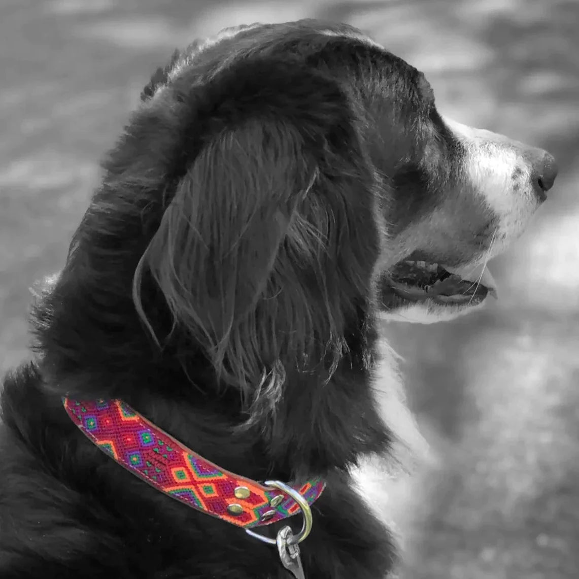 Artisan Rojo Handmade Dog Collars