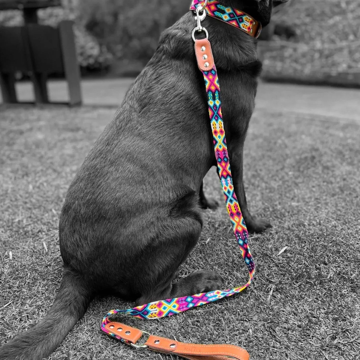 Artisan Rosa Handmade Dog Collars