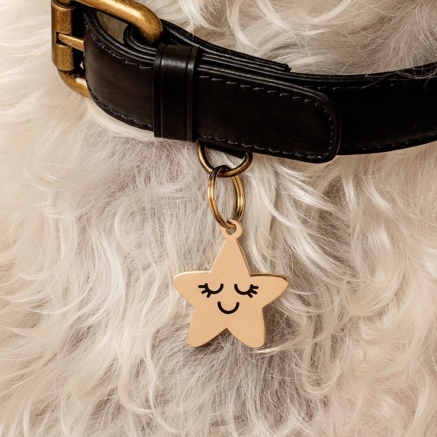 Smiling Star Pet ID Tag - 3 Red Rovers