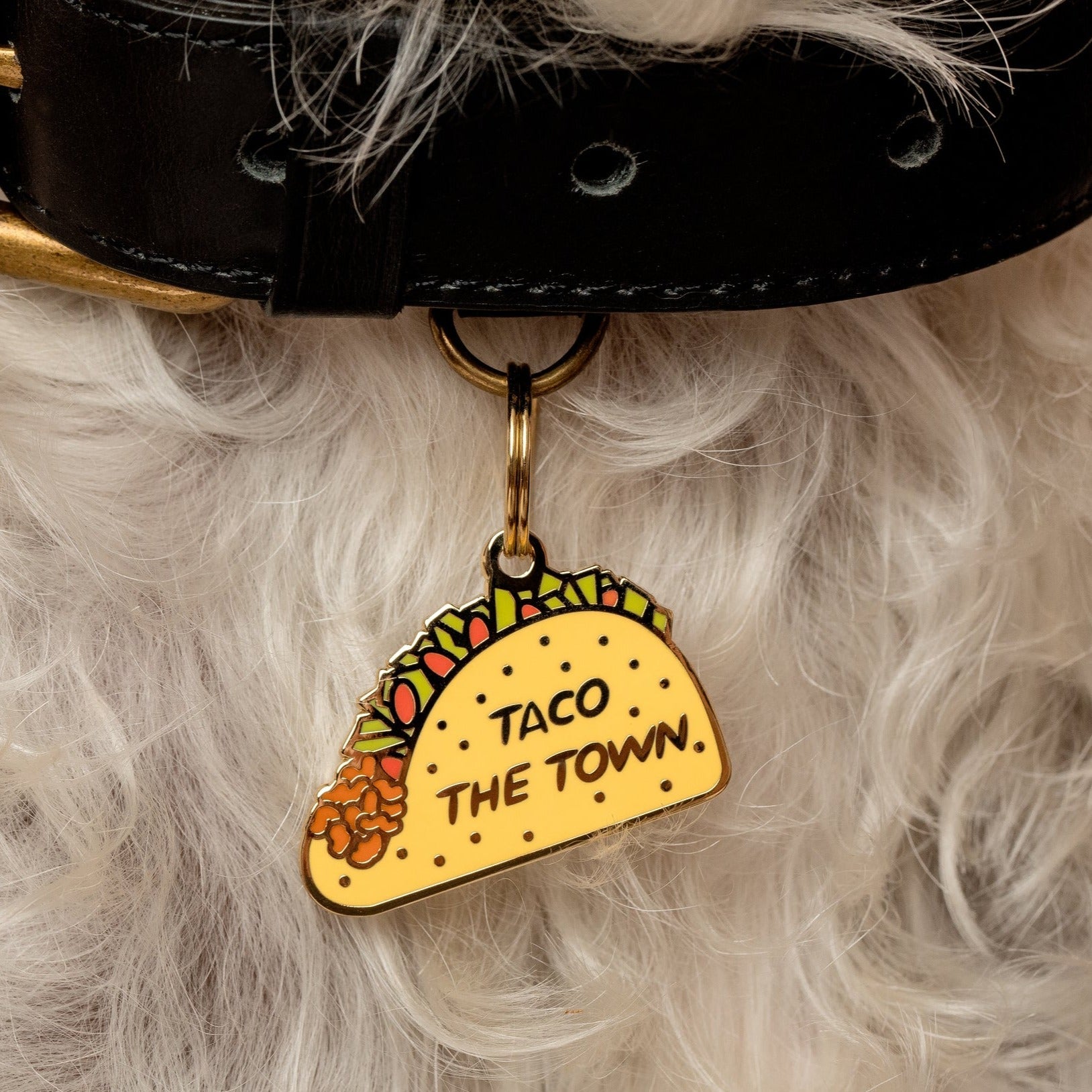 Taco the Town Pet ID Tag - 3 Red Rovers