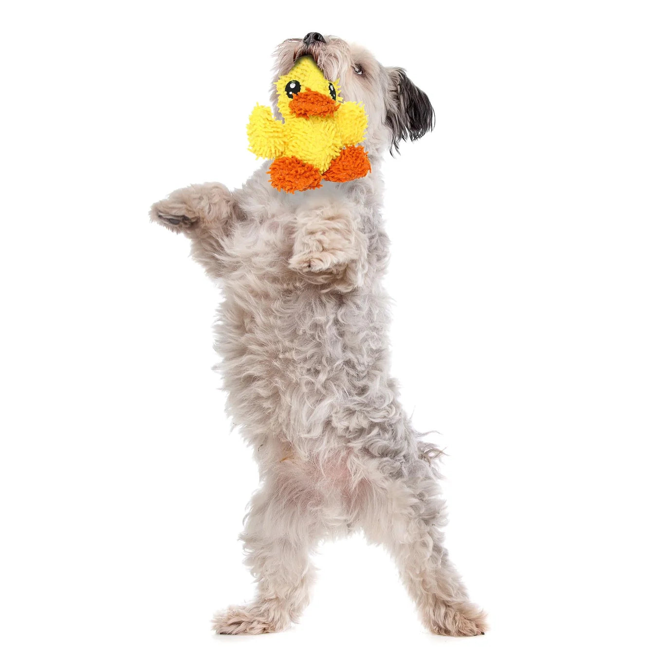 Mighty Microfiber Ball - Duck Tough Toy