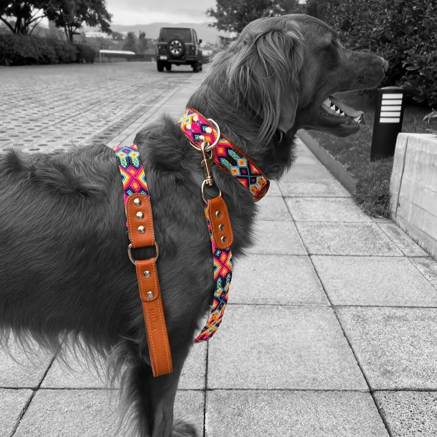 Artisan Rosa Handmade 4' Pet Leads