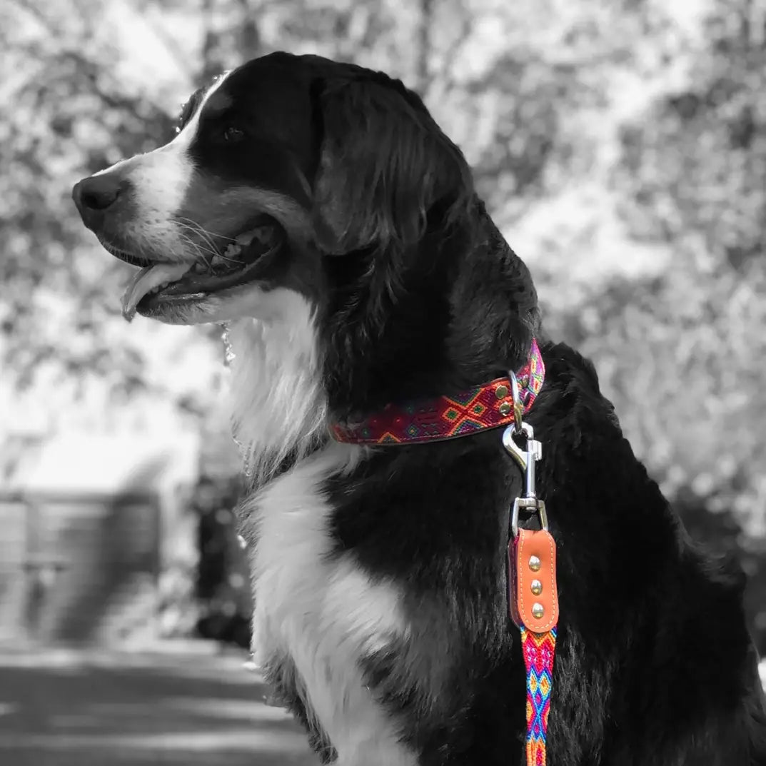 Artisan Rojo Handmade Dog Collars