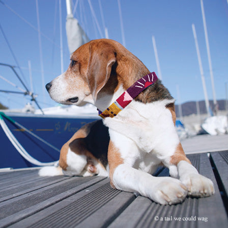 ATWCW Retro - Mayan Artisan-Handmade Martingale Collars