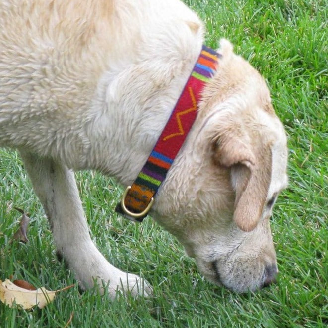 ATWCW Diamonds - Mayan Artisan-Handmade Martingale Collars